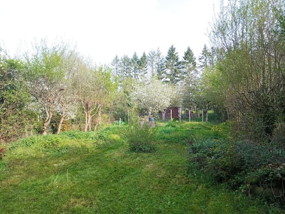 Maison De Caractere A 10 Minutes Du Zooparc Beauval Villentrois-Faverolles-en-Berry Kültér fotó