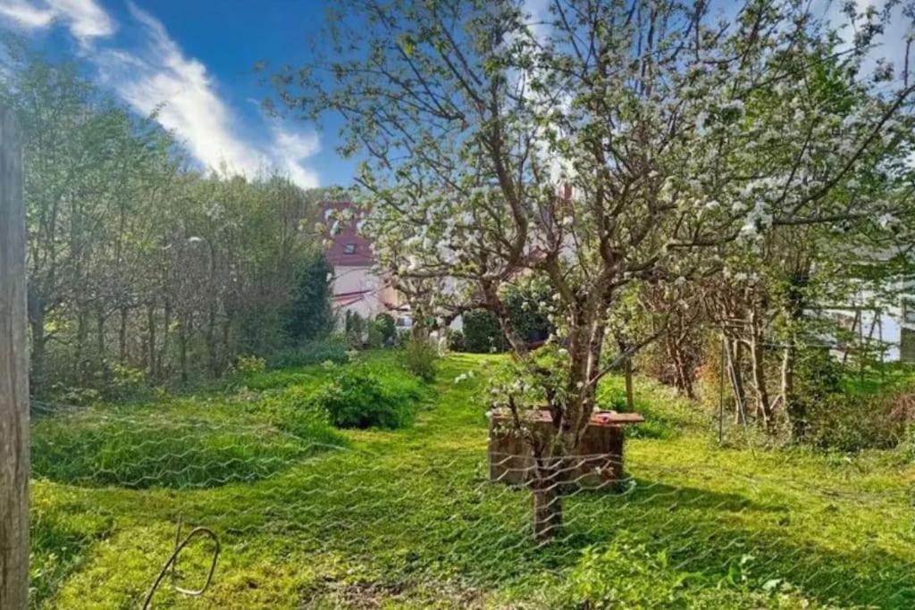 Maison De Caractere A 10 Minutes Du Zooparc Beauval Villentrois-Faverolles-en-Berry Kültér fotó